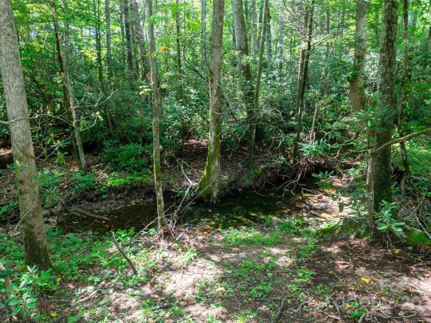 245 White Oak Creek Road, Burnsville, NC 28714.  MLS# CAR4319314, YatesRealty ID 1552. 