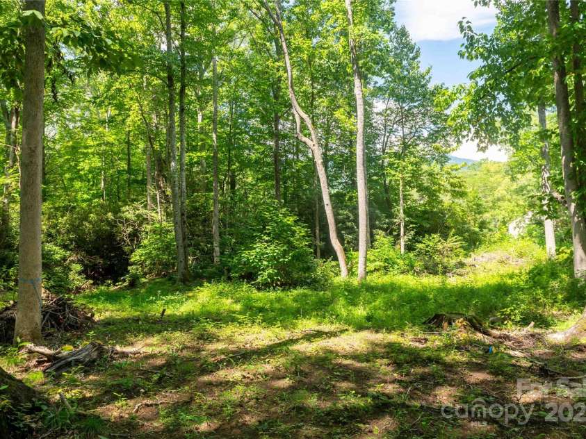 245 White Oak Creek Road, Burnsville, NC 28714.  MLS# CAR4319314, YatesRealty ID 1552. 