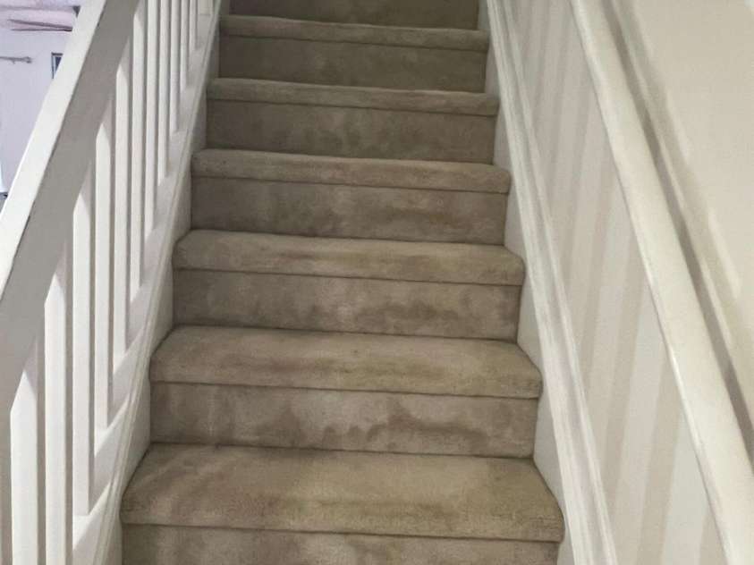12238 Paperbark Circle, Charlotte, NC 28277.  MLS# CAR4258011, YatesRealty ID 15525. Stairs