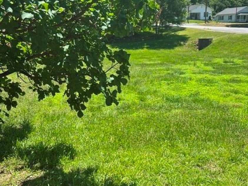 315 Rose Avenue, Kannapolis, NC 28083.  MLS# CAR4393460, YatesRealty ID 15548. 