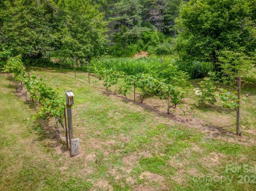 8749 Nc 63 Highway, Leicester, NC 28748.  MLS# CAR4214996, YatesRealty ID 1555. 