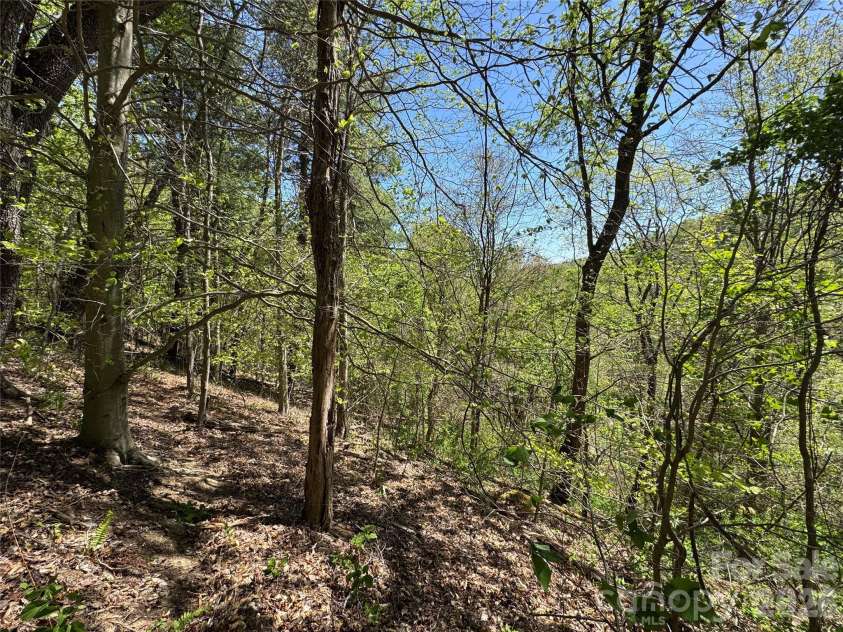 942 Fisher Branch Road, Marshall, NC 28753.  MLS# CAR4373818, YatesRealty ID 15560. 
