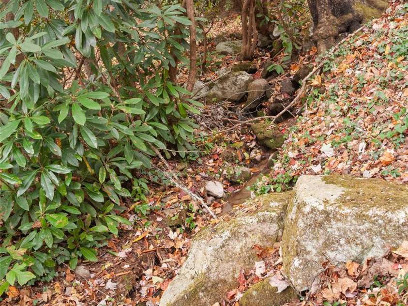 1233 Fie Top Road, Maggie Valley, NC 28751.  MLS# CAR4191937, YatesRealty ID 15611. 