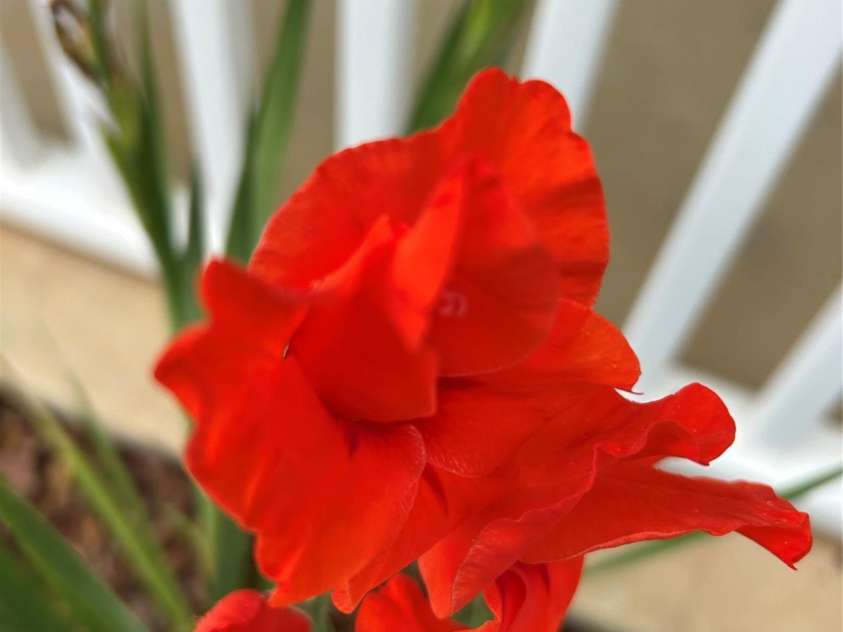 617 Reservoir Road, Marion, NC 28752.  MLS# CAR4257256, YatesRealty ID 15627. 