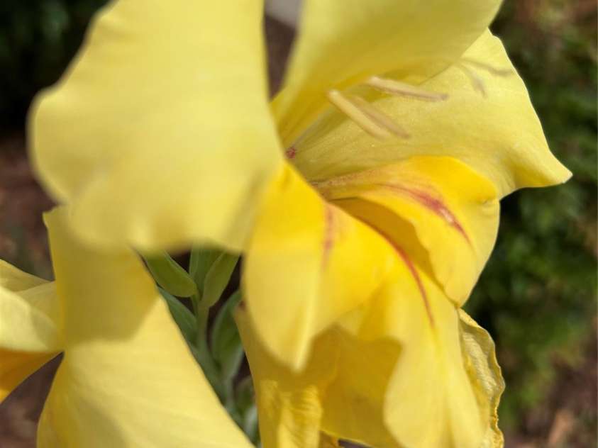 617 Reservoir Road, Marion, NC 28752.  MLS# CAR4257256, YatesRealty ID 15627. 