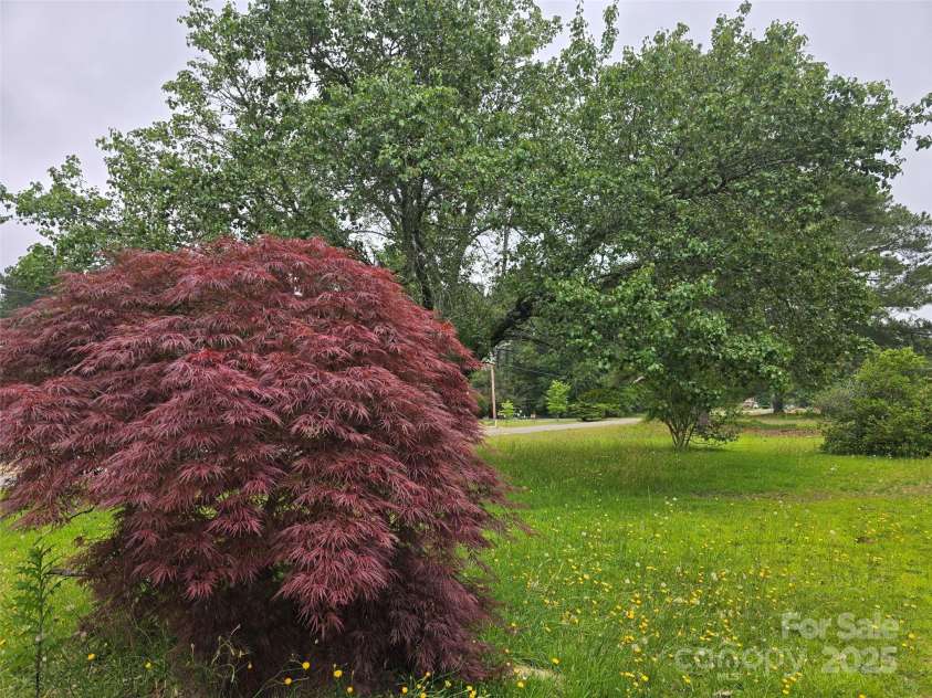 116 Graves Street, Candor, NC 27229.  MLS# CAR4260962, YatesRealty ID 15691. 