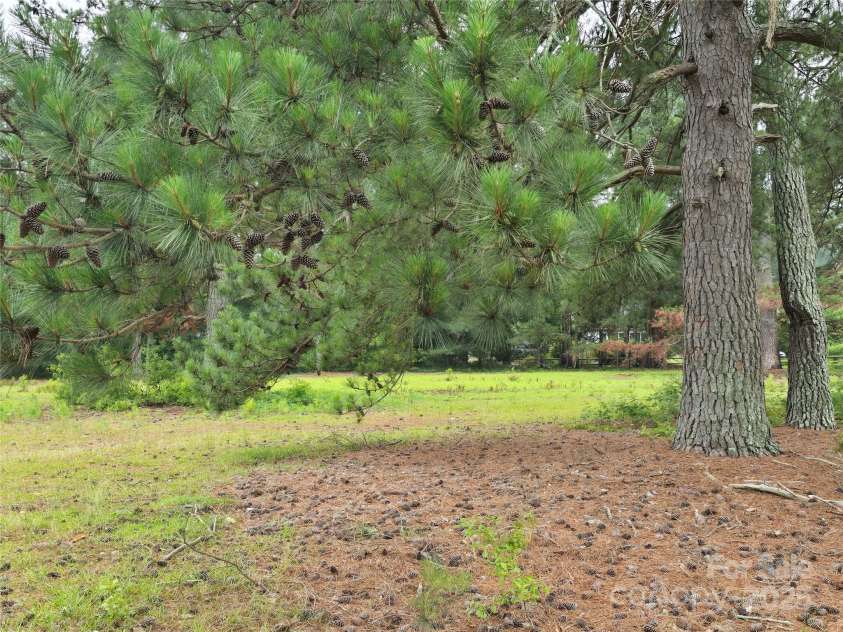 116 Graves Street, Candor, NC 27229.  MLS# CAR4260962, YatesRealty ID 15691. 