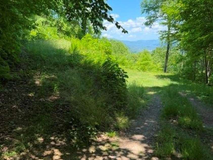 105 Dotsu Trail, Maggie Valley, NC 28751.  MLS# CAR4385443, YatesRealty ID 1573. 