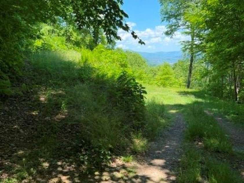 105 Dotsu Trail, Maggie Valley, NC 28751.  MLS# CAR4385443, YatesRealty ID 1573. 