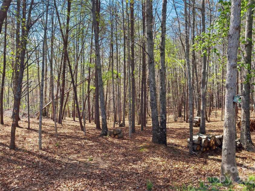 2567 Vein Mountain Road, Nebo, NC 28761.  MLS# CAR4254452, YatesRealty ID 15745. 