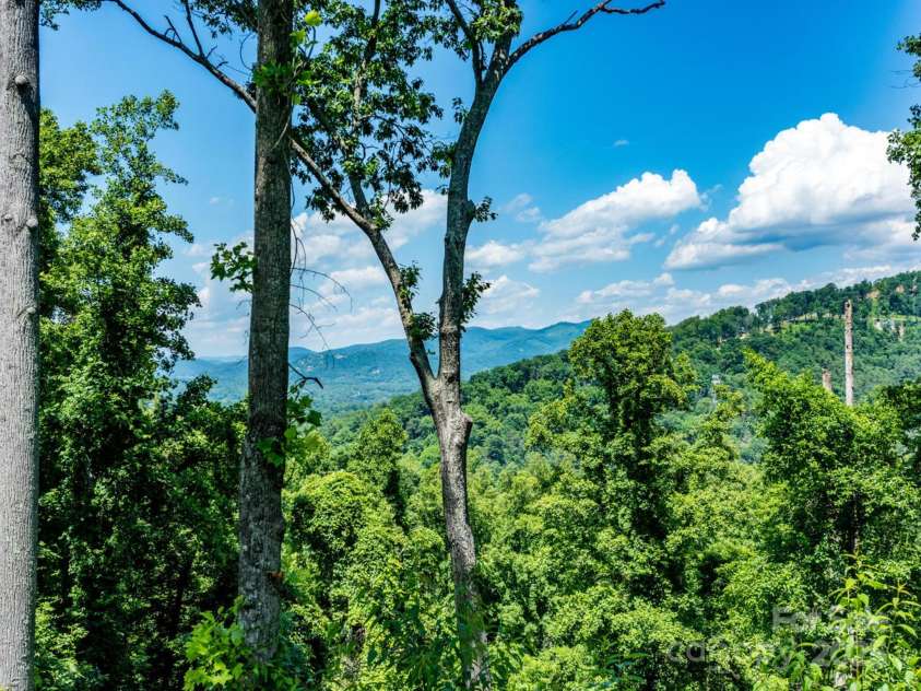 138 Appalachian Village Road, Asheville, NC 28804.  MLS# CAR4238974, YatesRealty ID 15784. Spring / Summer Views