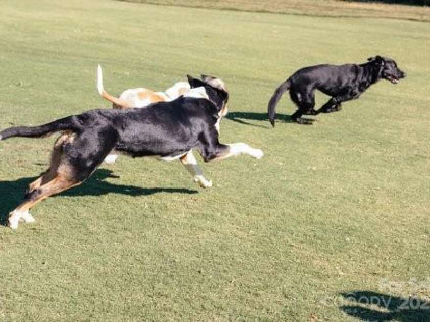 46 Timberidge Drive, Lake Wylie, SC 29710.  MLS# CAR4257088, YatesRealty ID 15789. 