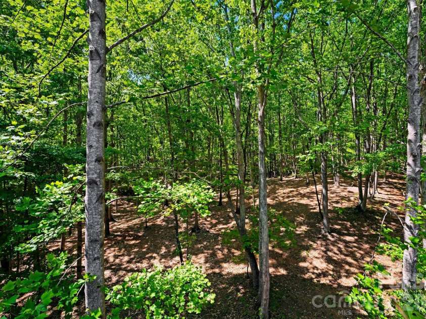146 Harbor Watch Drive, Statesville, NC 28677.  MLS# CAR4361153, YatesRealty ID 15798. 