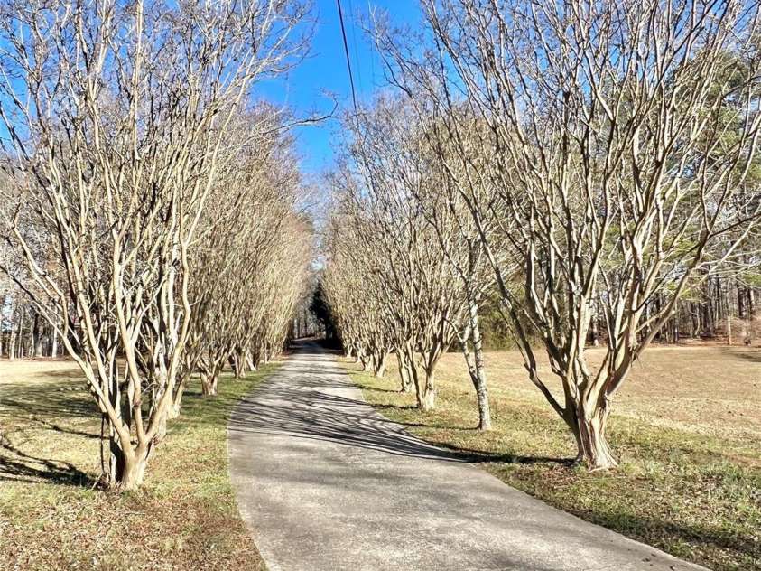 100 Steffey Lane, Taylorsville, NC 28681.  MLS# CAR4332523, YatesRealty ID 1582. 