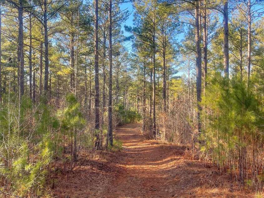 1386 Old Pinckney Road, York, SC 29745.  MLS# CAR4196379, YatesRealty ID 1584. 