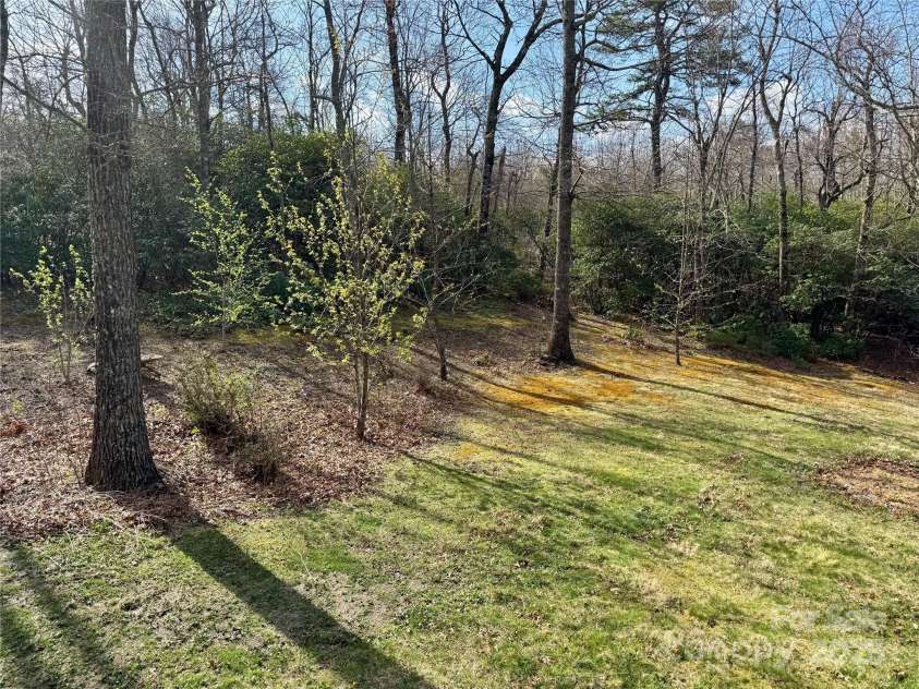 180 Dalton Lane, Black Mountain, NC 28711.  MLS# CAR4245129, YatesRealty ID 15847. Spring starting to show itself