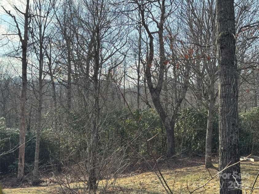 180 Dalton Lane, Black Mountain, NC 28711.  MLS# CAR4245129, YatesRealty ID 15847. Winter views