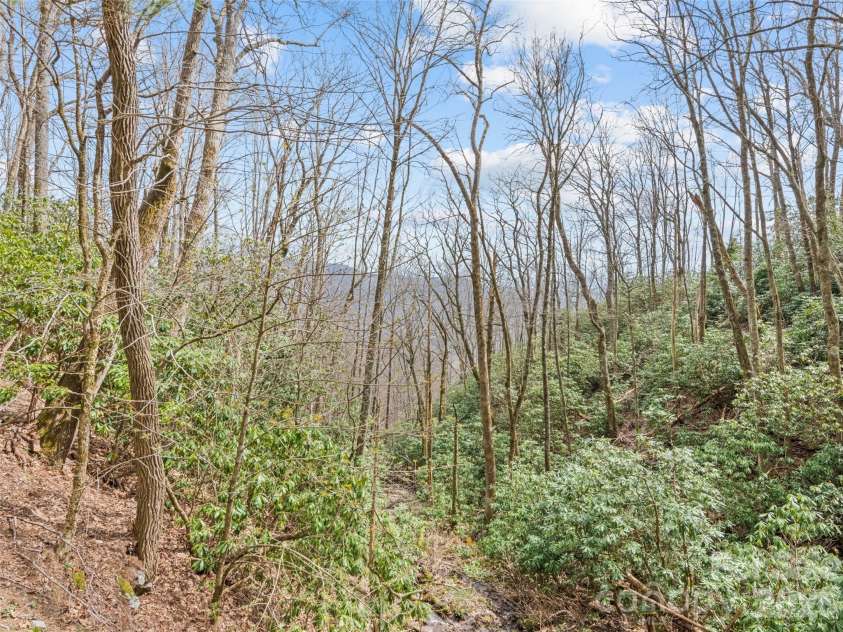 57 Grosbeak Trail, Sylva, NC 28779.  MLS# CAR4374185, YatesRealty ID 15850. 