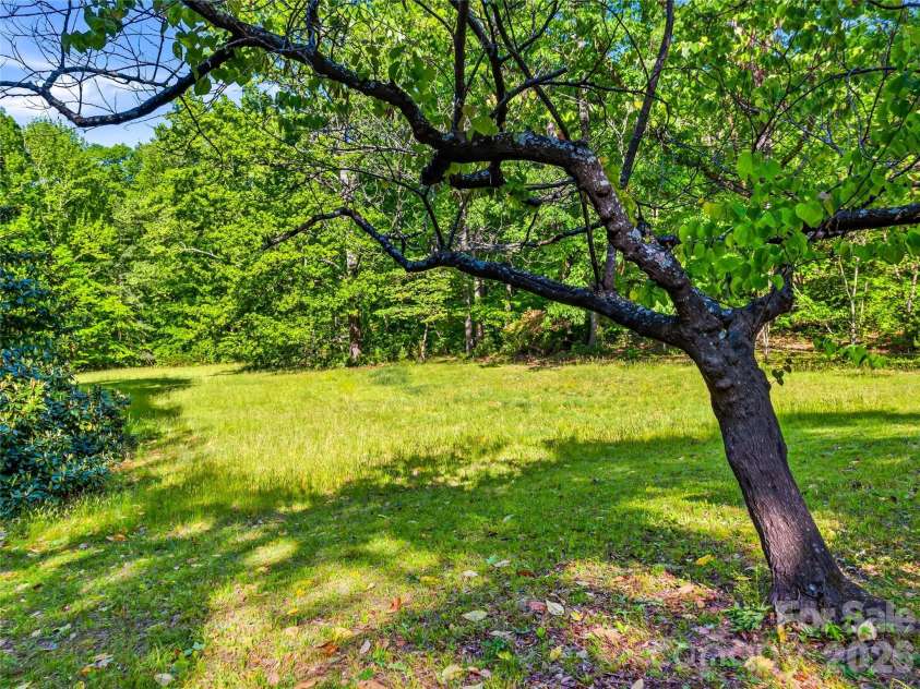 100 Hummingbird Lane, Columbus, NC 28722.  MLS# CAR4373226, YatesRealty ID 15857. 