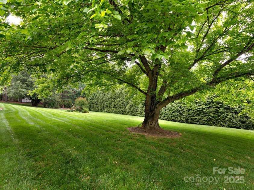 218 Brown Road, Hendersonville, NC 28791.  MLS# CAR4200878, YatesRealty ID 15867. Well established Land Scaping