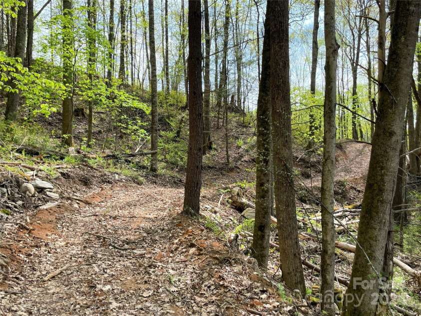 2180 Pigeon Roost Road, Green Mountain, NC 28740.  MLS# CAR4137054, YatesRealty ID 1587. One of several newly groomed interior ATV trails