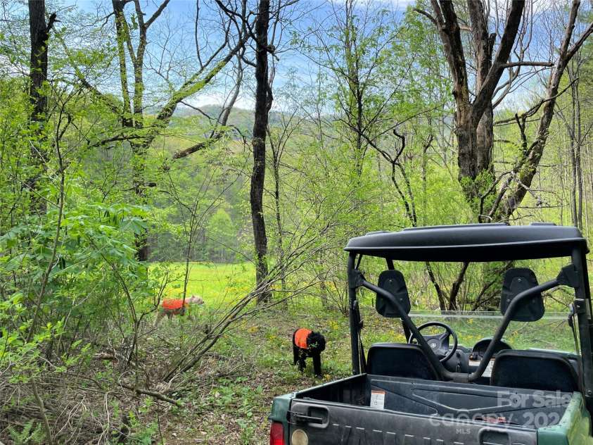 2180 Pigeon Roost Road, Green Mountain, NC 28740.  MLS# CAR4137054, YatesRealty ID 1587. The new ATV trails connect with the hidden meadow