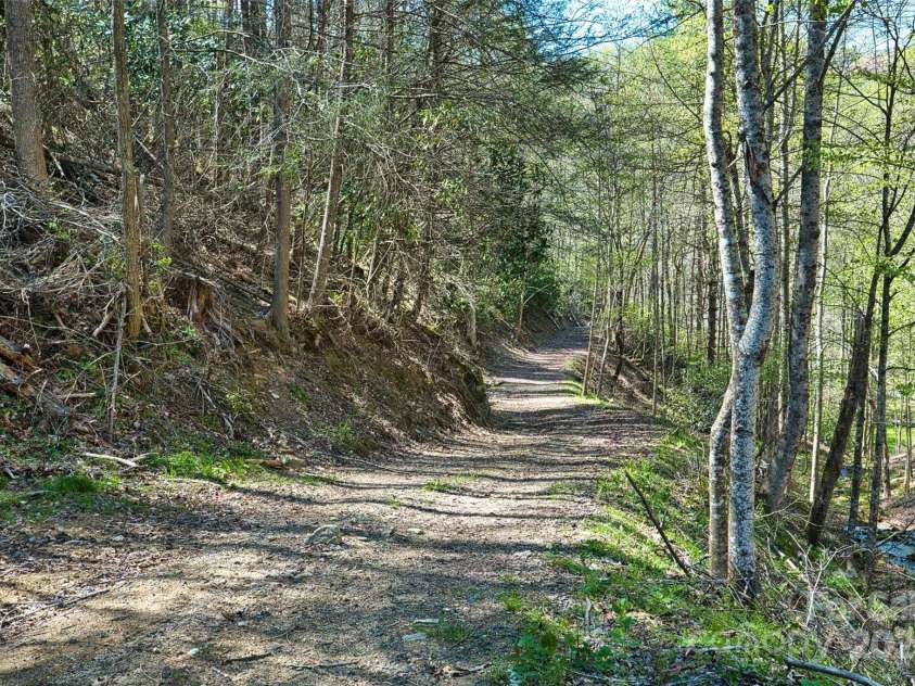 2180 Pigeon Roost Road, Green Mountain, NC 28740.  MLS# CAR4137054, YatesRealty ID 1587. Wide road to the hidden meadow