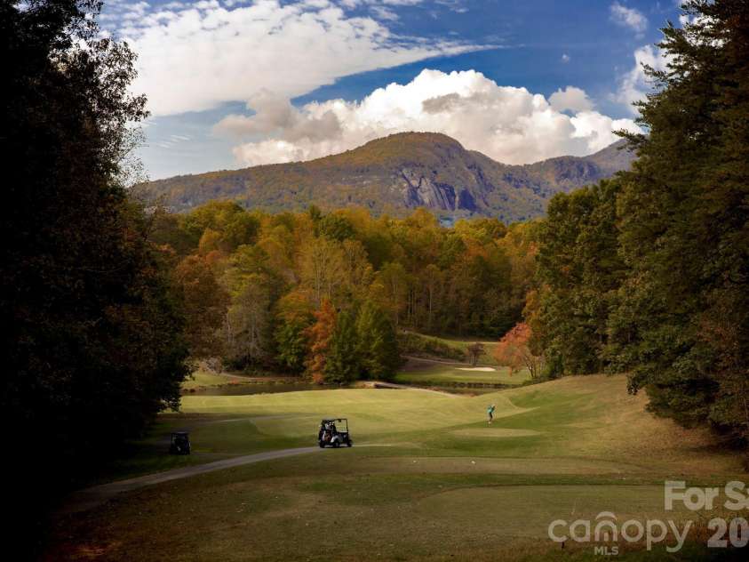 193 Downing Place, Lake Lure, NC 28746.  MLS# CAR4410105, YatesRealty ID 1588. 