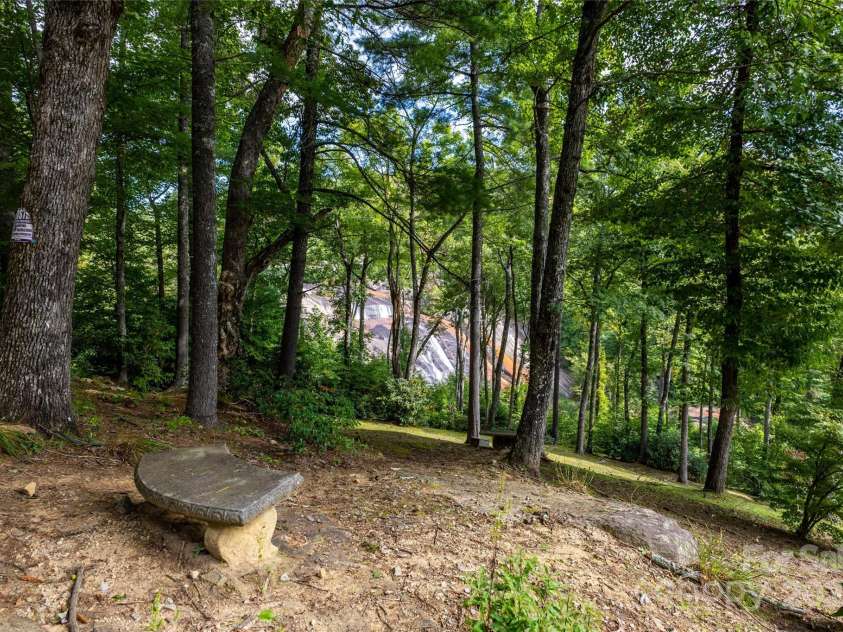 30 Lower Tanglewood Road, Lake Toxaway, NC 28747.  MLS# CAR4176732, YatesRealty ID 15904. 