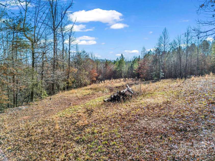 620 Smith Waldrop Road, Columbus, NC 28722.  MLS# CAR4209729, YatesRealty ID 15909. Clearing with a trench for filling with yard debris.
