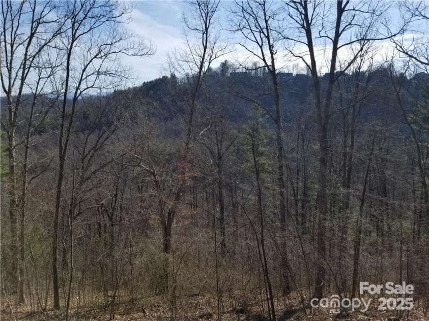 140 Summit Tower Circle, Asheville, NC 28804.  MLS# CAR4304165, YatesRealty ID 1591. 