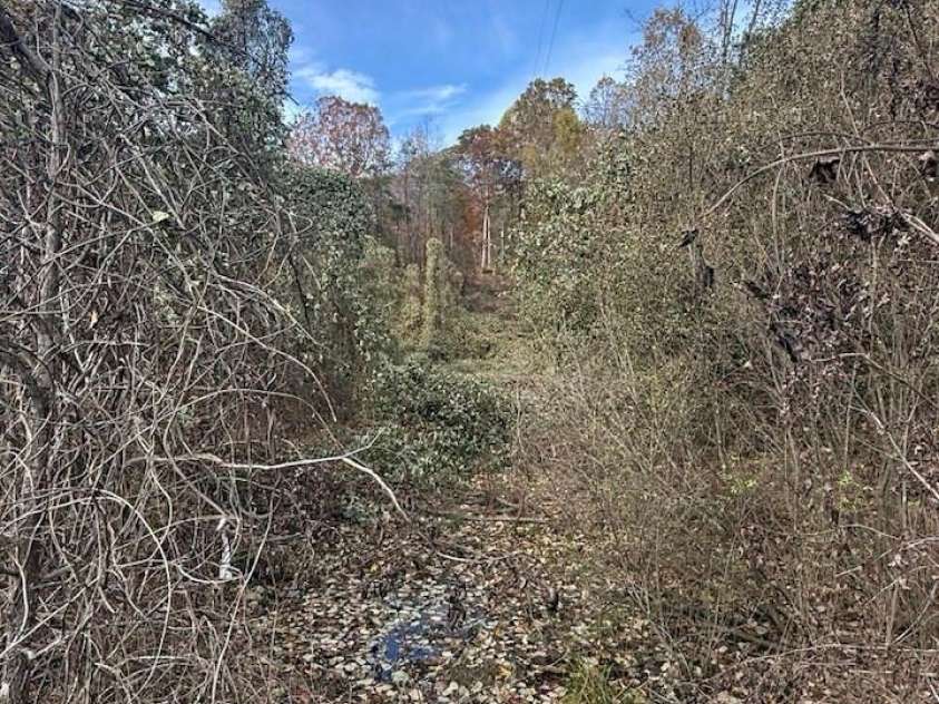 200 Little Wings Mountain Road, Columbus, NC 28722.  MLS# CAR4289310, YatesRealty ID 15911. Commercial area is larger that it looks