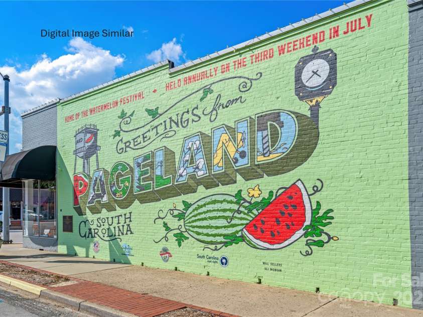 203 Iris Court, Pageland, SC 29728.  MLS# CAR4264491, YatesRealty ID 15927. 