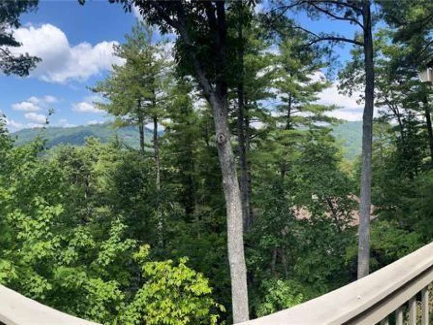 2902 Timber Trails Trail, Asheville, NC 28804.  MLS# CAR4260445, YatesRealty ID 15956. 