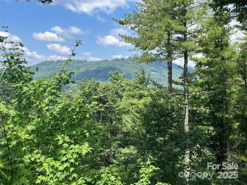 2902 Timber Trails Trail, Asheville, NC 28804.  MLS# CAR4260445, YatesRealty ID 15956. 