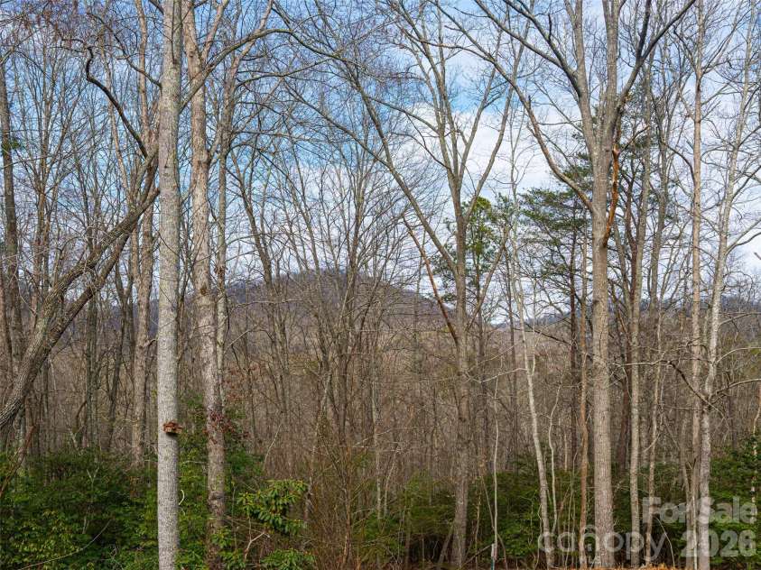 508 Avery Creek Road, Arden, NC 28704.  MLS# CAR4355626, YatesRealty ID 15960. Winter Mountain Views 