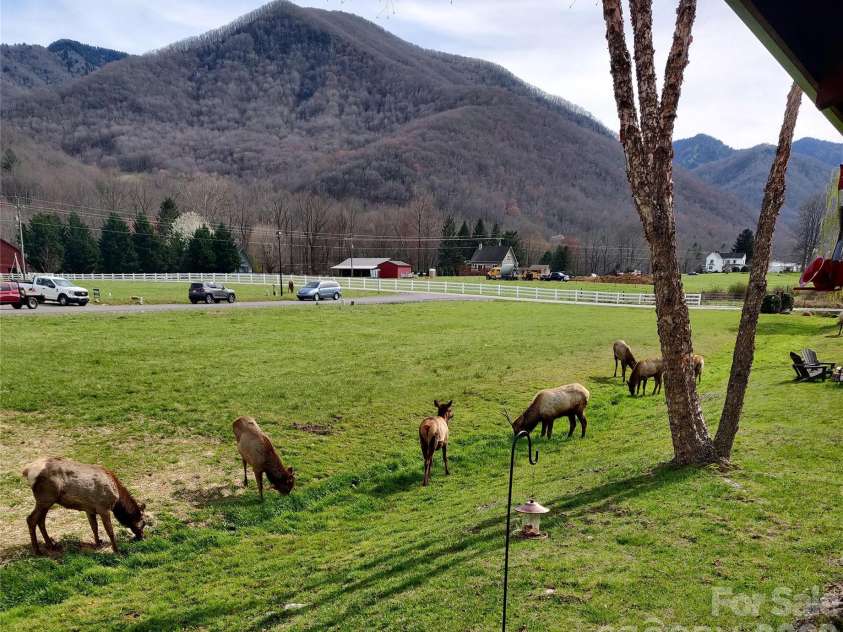 54 Meandering Way, Maggie Valley, NC 28751.  MLS# CAR4336056, YatesRealty ID 1598. 