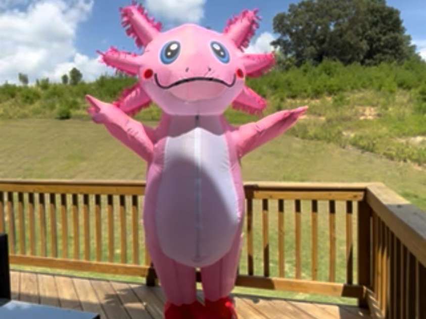 2050 Dornoch Road, Tega Cay, SC 29708.  MLS# CAR4367235, YatesRealty ID 15987. Ashley catching some rays on the back deck