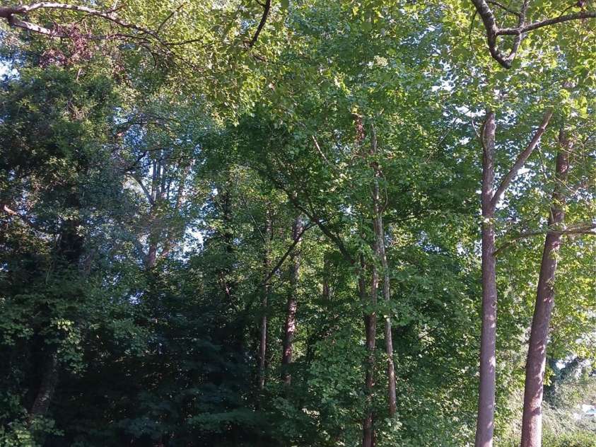 309 Rodoret Street, Valdese, NC 28690.  MLS# CAR4194557, YatesRealty ID 15993. 