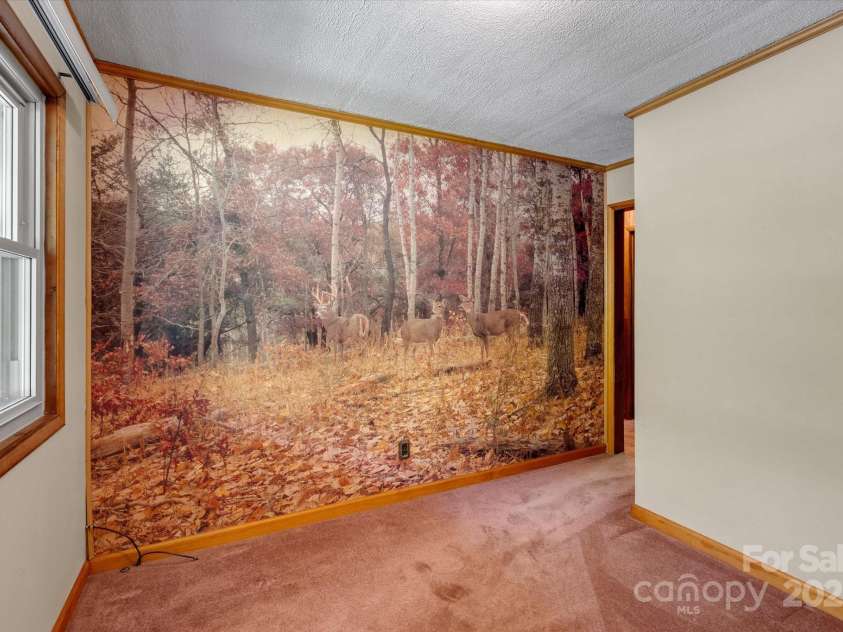 12 Thumper Lane, Arden, NC 28704.  MLS# CAR4257191, YatesRealty ID 15994. 