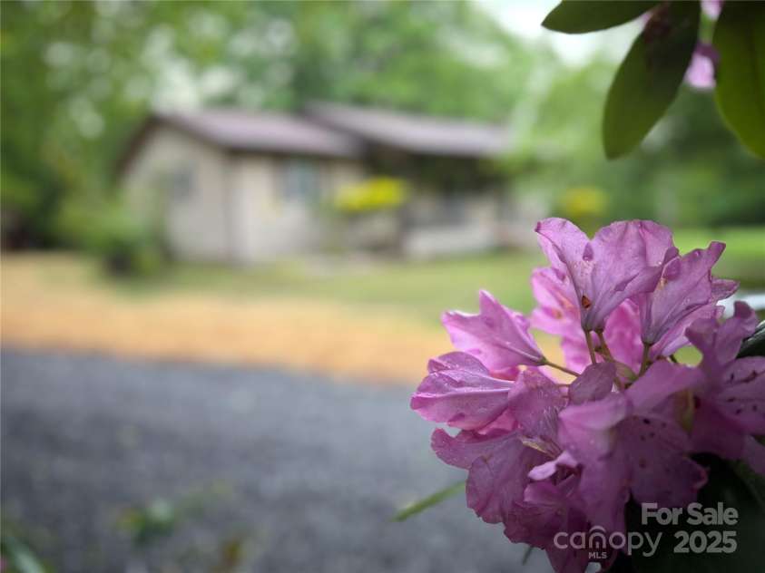 12 Thumper Lane, Arden, NC 28704.  MLS# CAR4257191, YatesRealty ID 15994. 