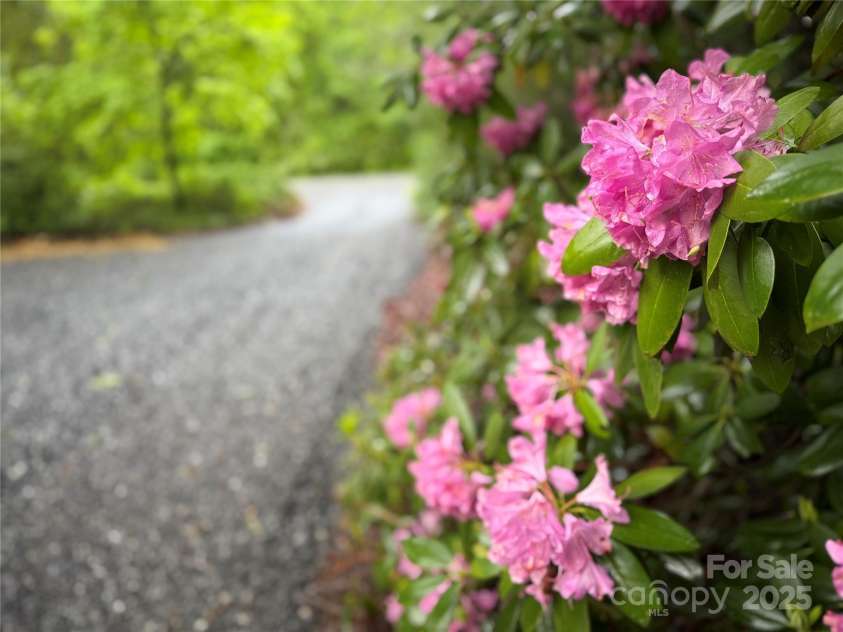 12 Thumper Lane, Arden, NC 28704.  MLS# CAR4257191, YatesRealty ID 15994. 