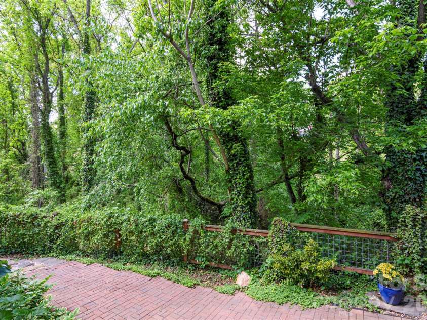 149 State Street, Asheville, NC 28806.  MLS# CAR4372886, YatesRealty ID 16038. Lush Forest with Hidden Stream!