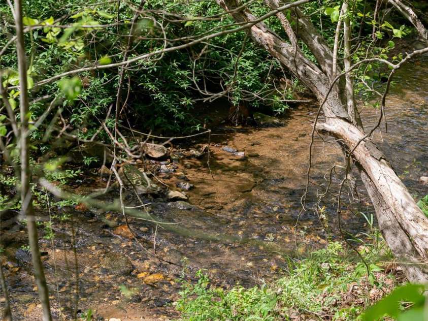 34 Friendly Way, Asheville, NC 28806.  MLS# CAR4257105, YatesRealty ID 16047. 