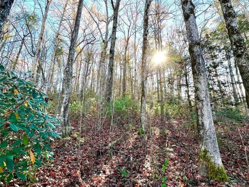 122 and 124 Avian Court, Brevard, NC 28712.  MLS# CAR4198391, YatesRealty ID 1607. 