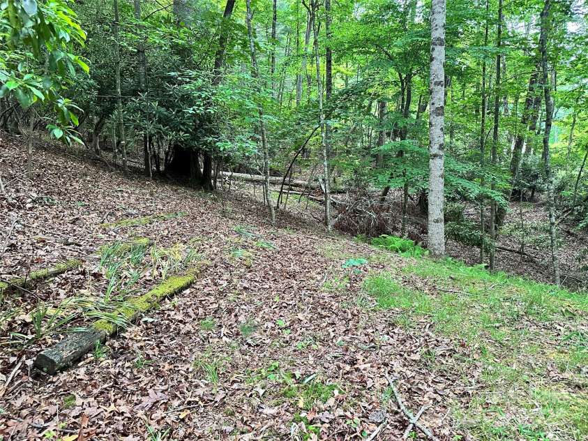 98 Long Pine Drive, Mills River, NC 28759.  MLS# CAR4264413, YatesRealty ID 16070. Rear of property