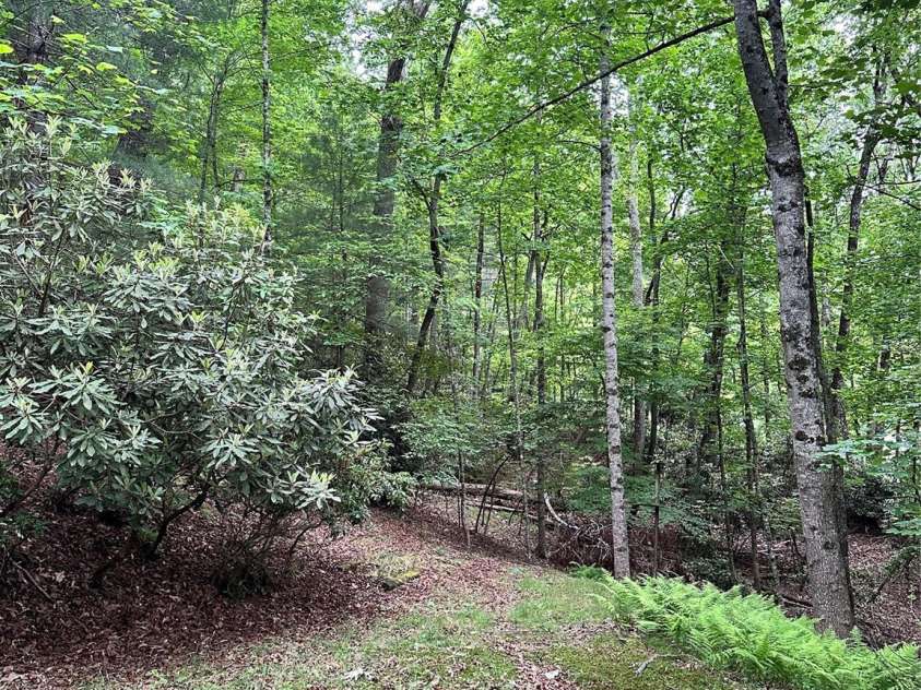 98 Long Pine Drive, Mills River, NC 28759.  MLS# CAR4264413, YatesRealty ID 16070. View from side of back deck.