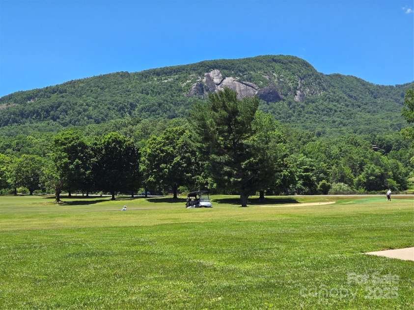 147 Lake Drive, Lake Lure, NC 28746.  MLS# CAR4221917, YatesRealty ID 16111. 