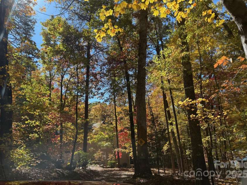 127 Melrose Lane, Mooresville, NC 28117.  MLS# CAR4288916, YatesRealty ID 1612. Fall colors as you drive down the driveway.