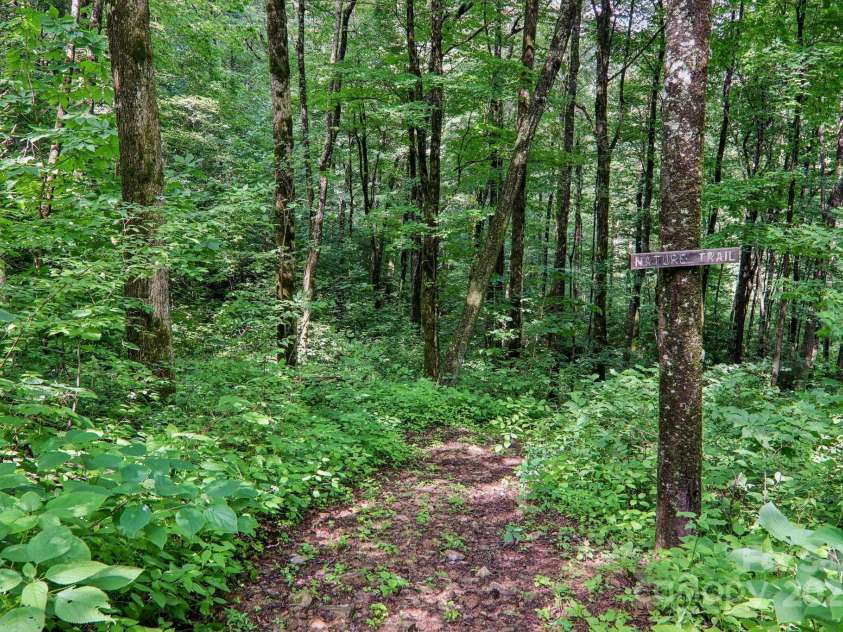 2171 Black Rock Road, Cherokee, NC 28719.  MLS# CAR4270256, YatesRealty ID 1615. Nature trail on property
